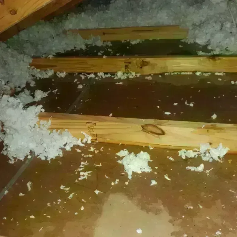 Attic Water Damage in Ottawa County, OK