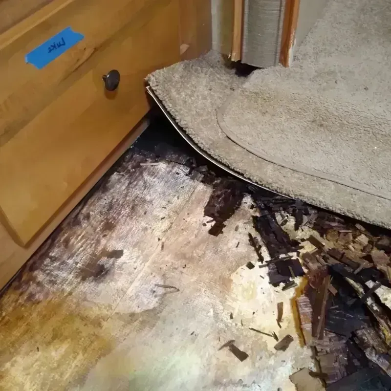 Wood Floor Water Damage in Ottawa County, OK